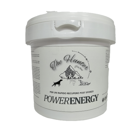 Power Energy