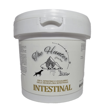 Intestinal