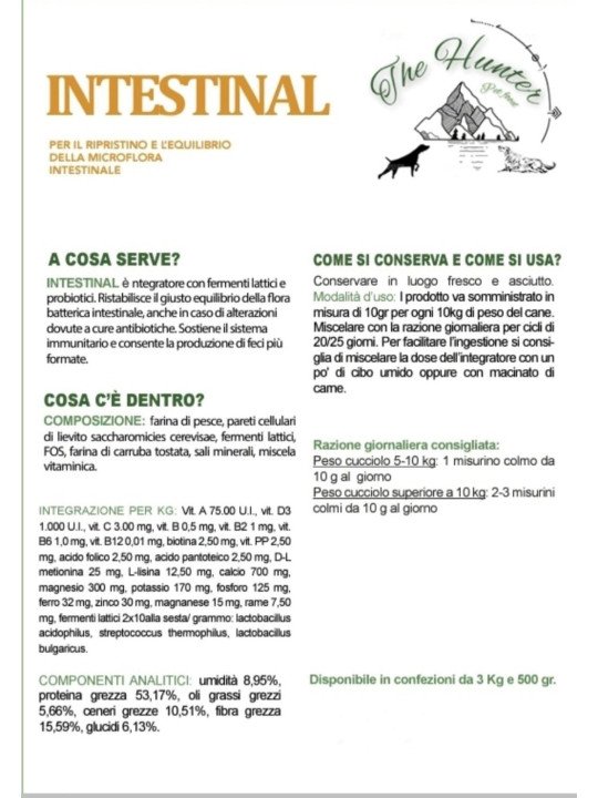 Intestinal