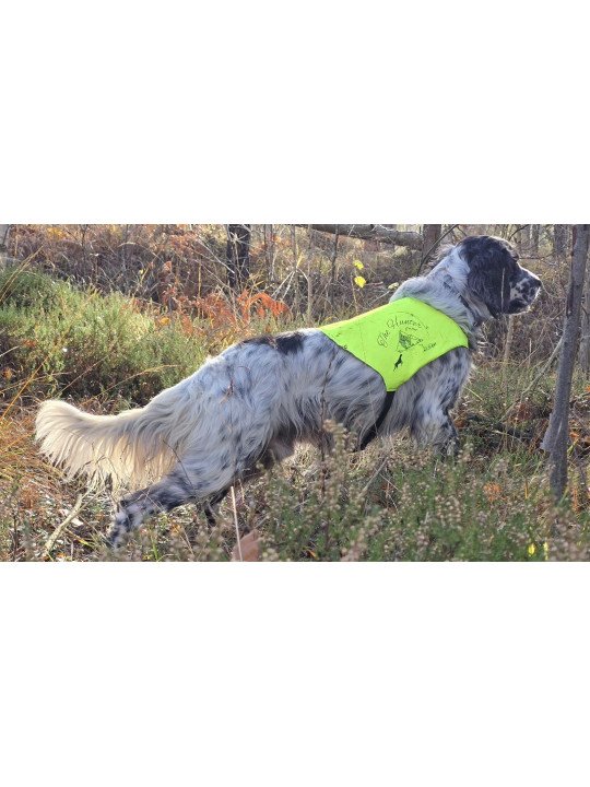 PETTORINA ALTA VISIBILITA' THE HUNTER PET FOOD