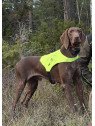 PETTORINA ALTA VISIBILITA' THE HUNTER PET FOOD  GIALLO FLUO