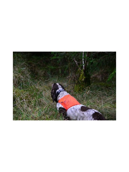 PETTORINA ALTA VISIBILITA' THE HUNTER PET FOOD  COLOR ARANCIO FLUO