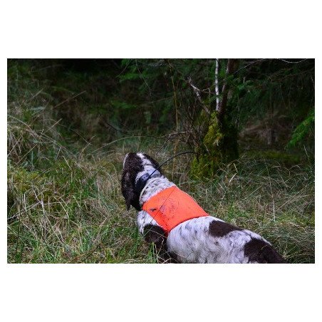 PETTORINA ALTA VISIBILITA' THE HUNTER PET FOOD  COLOR ARANCIO FLUO