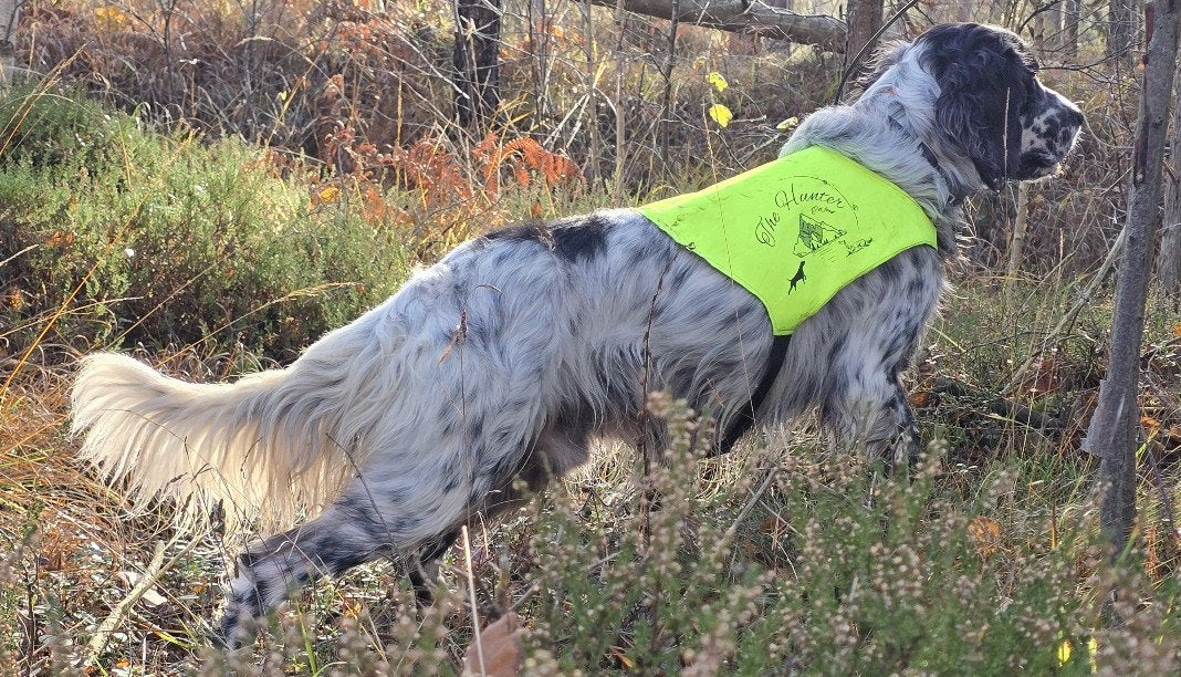 PETTORINA ALTA VISIBILITA' GIALLO FLUO su cane