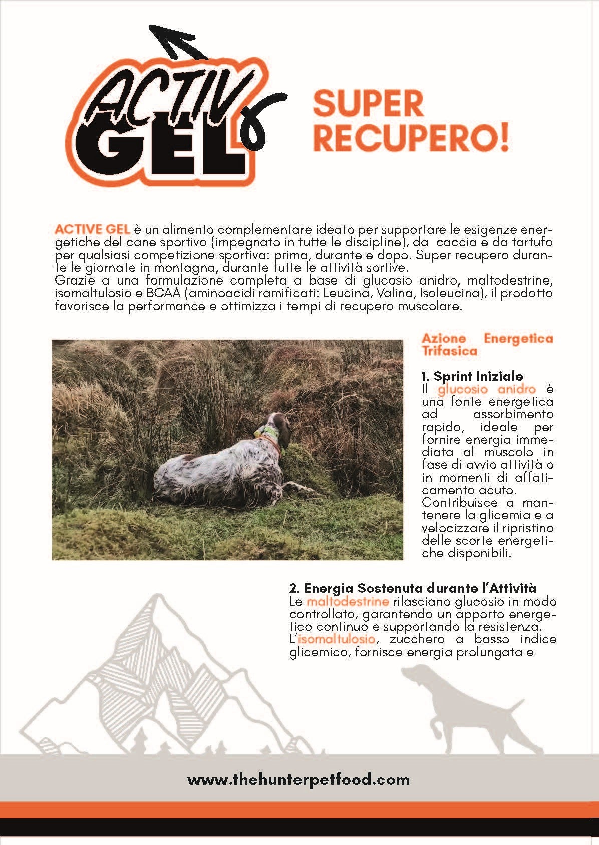 active gel etichetta 1